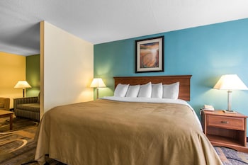 Suite, 1 King Bed with Sofa bed (1 Person Sofa Bed)