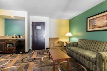 Suite, 1 King Bed with Sofa bed (1 Person Sofa Bed)