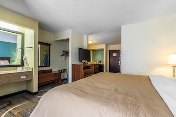 Suite, 1 King Bed with Sofa bed (1 Person Sofa Bed)