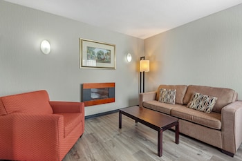 Suite, 1 King Bed with Sofa bed, Non Smoking