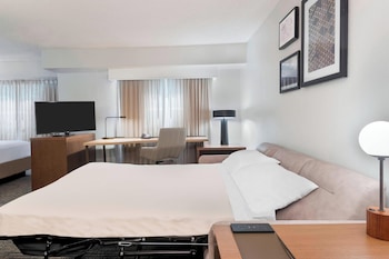 Studio, 1 King Bed with Sofa bed