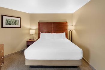 Suite, 1 King Bed with Sofa bed, Non Smoking, Balcony, River View