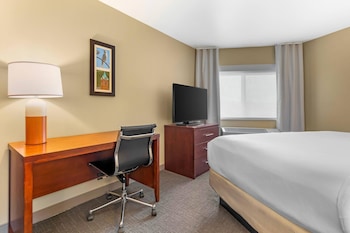 Suite, 1 King Bed with Sofa bed, Non Smoking, Mountain View