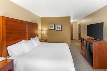 Room, 1 King Bed, Accessible, Non Smoking