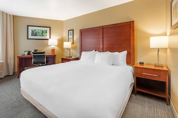 Room, 1 King Bed, Accessible, Non Smoking