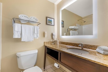 Suite, 1 King Bed with Sofa bed, Non Smoking, Mountain View