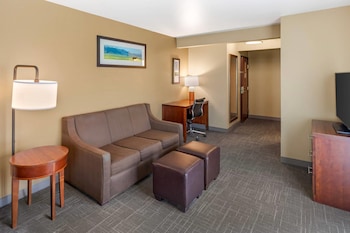Suite, 1 King Bed with Sofa bed, Non Smoking, Balcony, River View