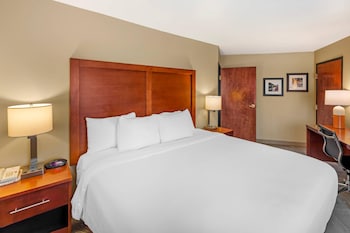 Suite, 1 King Bed with Sofa bed, Non Smoking, Mountain View