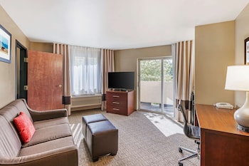Suite, 1 King Bed with Sofa bed, Non Smoking, Mountain View