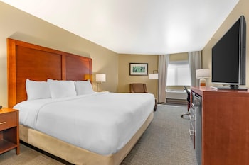 Standard Room, 1 King Bed, Non Smoking