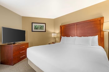 Suite, 1 King Bed with Sofa bed, Non Smoking, Balcony, River View