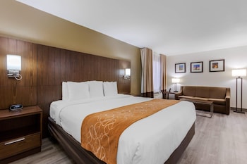 Suite, 1 King Bed with Sofa bed, Accessible, Non Smoking