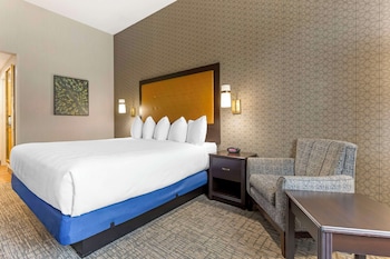 Standard Room, 1 King Bed, Non Smoking, Microwave