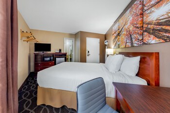 Room, 1 Queen Bed, Non Smoking