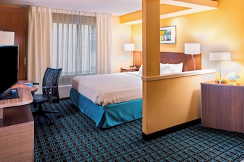 Suite, 1 King Bed with Sofa bed