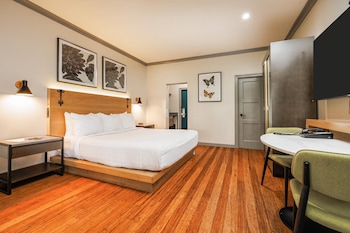 Room, 1 King Bed, Accessible, Non Smoking