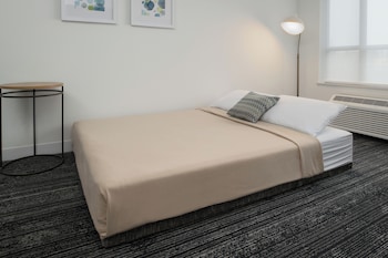 Standard Studio, 1 King Bed with Sofa bed, Lake View (Hearing Accessible)