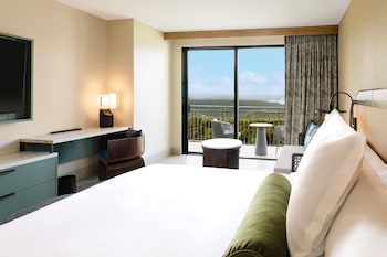 Room, 1 King Bed, Accessible (Rainforest Collection)