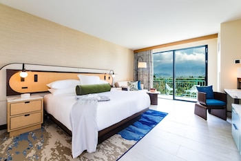 Room, 1 King Bed, Accessible (Rainforest Collection)