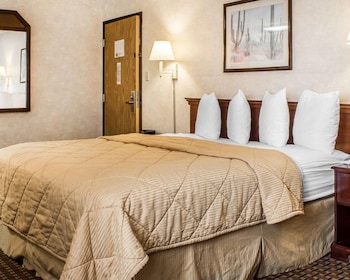 Suite, 1 King Bed with Sofa bed, Non Smoking