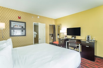Room, 1 King Bed, Accessible, Non Smoking
