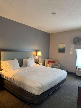 Room, 1 King Bed, Accessible, Non Smoking