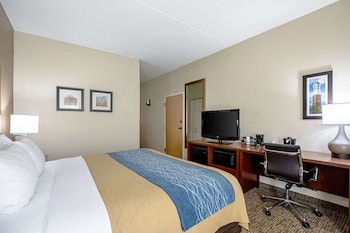 Room, 1 King Bed, Accessible, Non Smoking