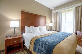 Room, 1 King Bed, Accessible, Non Smoking