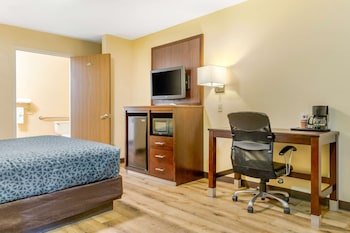 Standard Room, 1 King Bed, Non Smoking