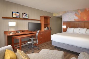 Standard Room, 1 King Bed (Mobility Accessible, Roll-In Shower)