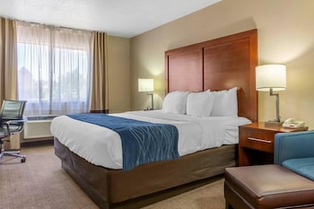 Standard Room, 1 King Bed, Non Smoking