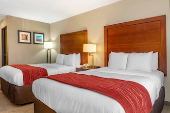 Standard Double Room, 2 Double Beds, Non Smoking