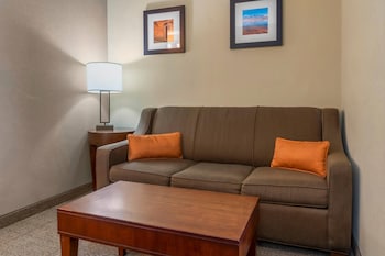 Suite, 1 King Bed, Non Smoking