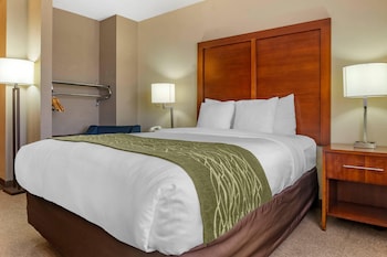 Standard Room, 1 Queen Bed, Accessible, Non Smoking