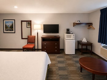Standard Room, 1 King Bed, Accessible