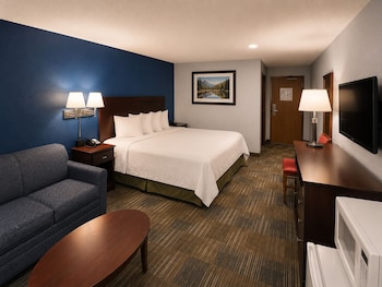 Standard Room, 1 King Bed, Accessible