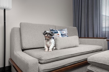 Executive Suite, 1 Bedroom