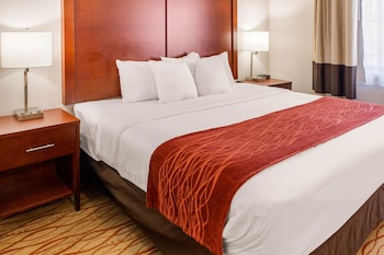 Suite, 1 King Bed, Non Smoking (Wet Bar)