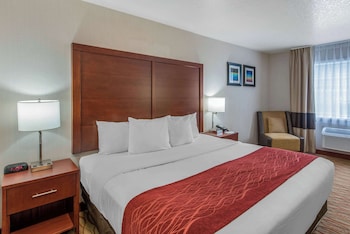 Standard Room, 1 King Bed, Non Smoking