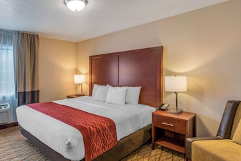 Suite, 1 King Bed, Non Smoking (Wet Bar)