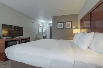 Room, 1 King Bed, Accessible, Non Smoking