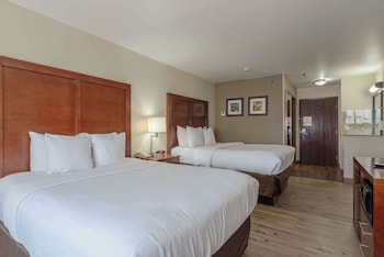 Standard Room, 2 Queen Beds, Non Smoking (Pet-Friendly)