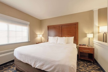 Suite, 1 King Bed with Sofa bed, Non Smoking