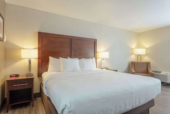 Room, 1 King Bed, Accessible, Non Smoking