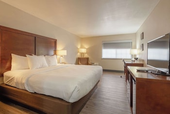 Room, 1 King Bed, Accessible, Non Smoking