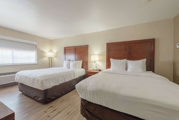 Standard Room, 2 Queen Beds, Non Smoking (Pet-Friendly)