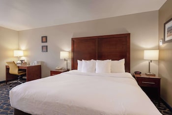 Standard Room, 1 King Bed, Non Smoking