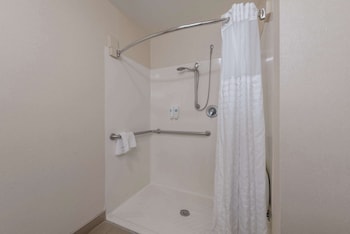 Suite, 1 King Bed with Sofa bed, Accessible, Non Smoking
