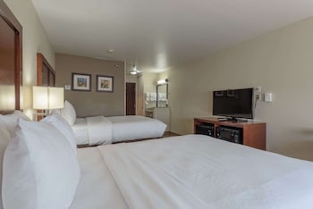Standard Room, 2 Queen Beds, Non Smoking (Pet-Friendly)
