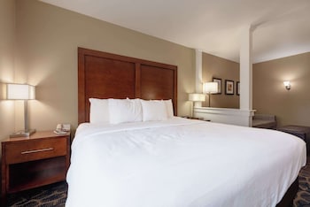 Suite, 1 King Bed with Sofa bed, Non Smoking